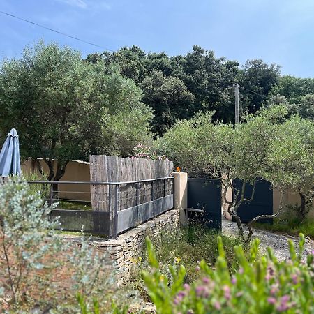Villa Pierre Blanche Le Calme A 5Mn Du Centre Ville Nimes Ngoại thất bức ảnh