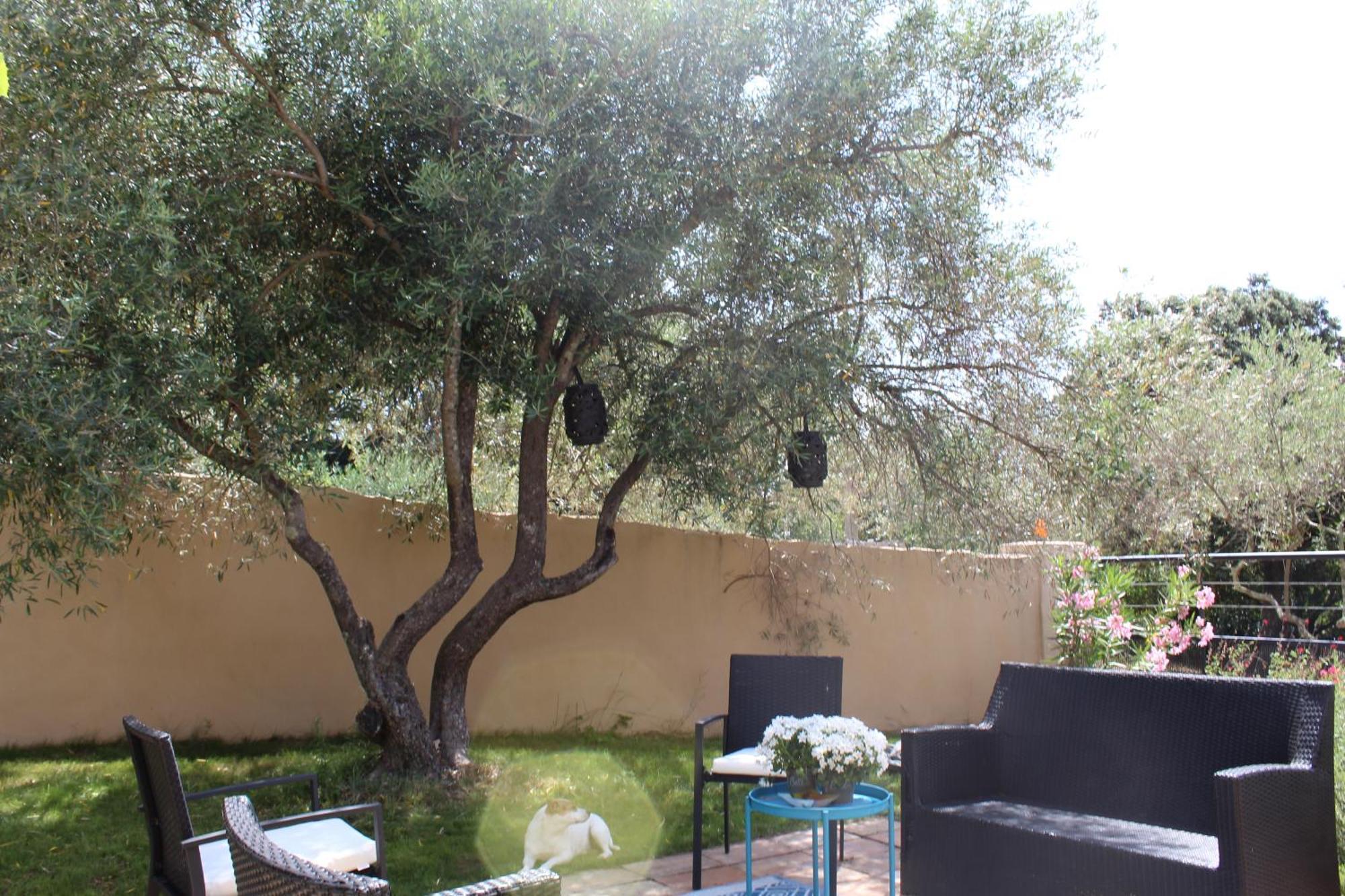 Villa Pierre Blanche Le Calme A 5Mn Du Centre Ville Nimes Ngoại thất bức ảnh
